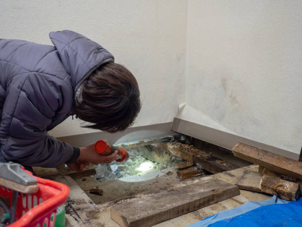 Best Airborne Mold Testing  in Petersburg, IN
