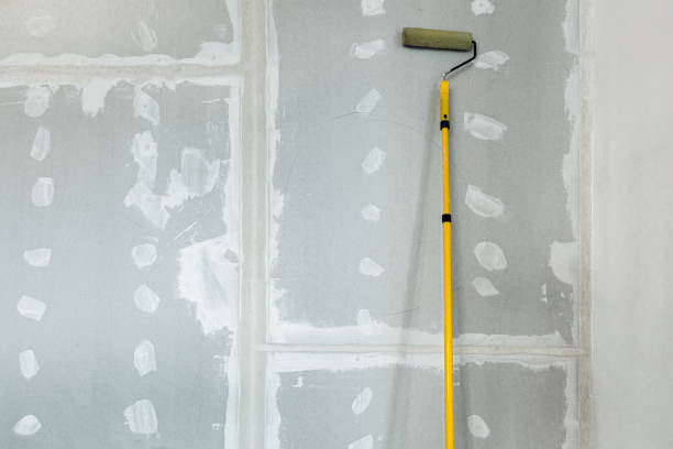 Best HVAC Mold Inspection and Cleaning  in Petersburg, IN