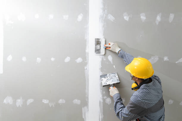 Best Black Mold Removal  in Petersburg, IN