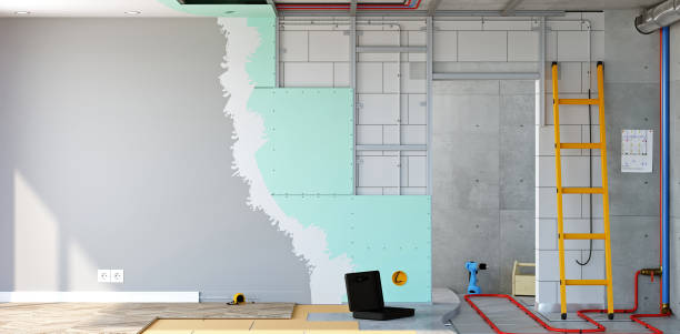Best Emergency Mold Remediation  in Petersburg, IN