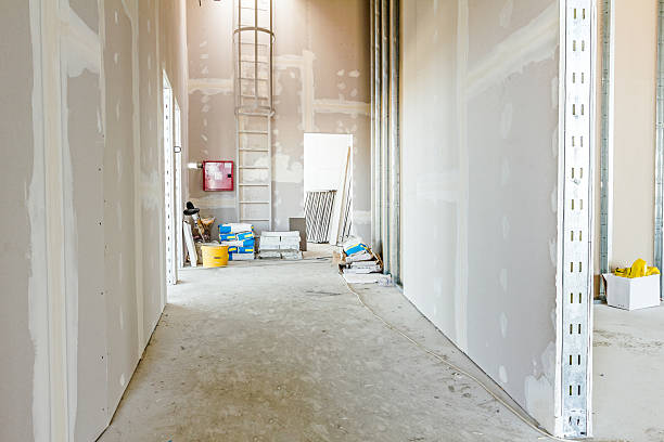  Petersburg, IN Mold Removal Pros