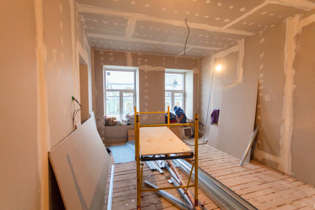 Best Mold Damage Restoration  in Petersburg, IN