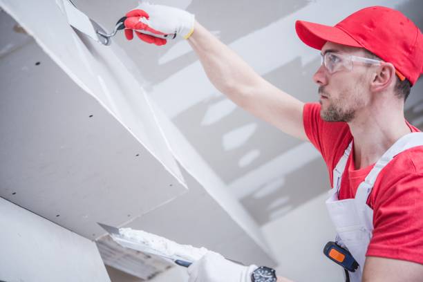 Best Mold Odor Removal Services  in Petersburg, IN
