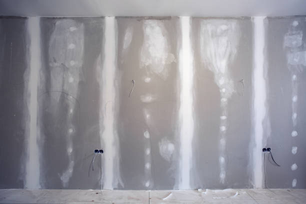 Best Biohazard Mold Removal  in Petersburg, IN